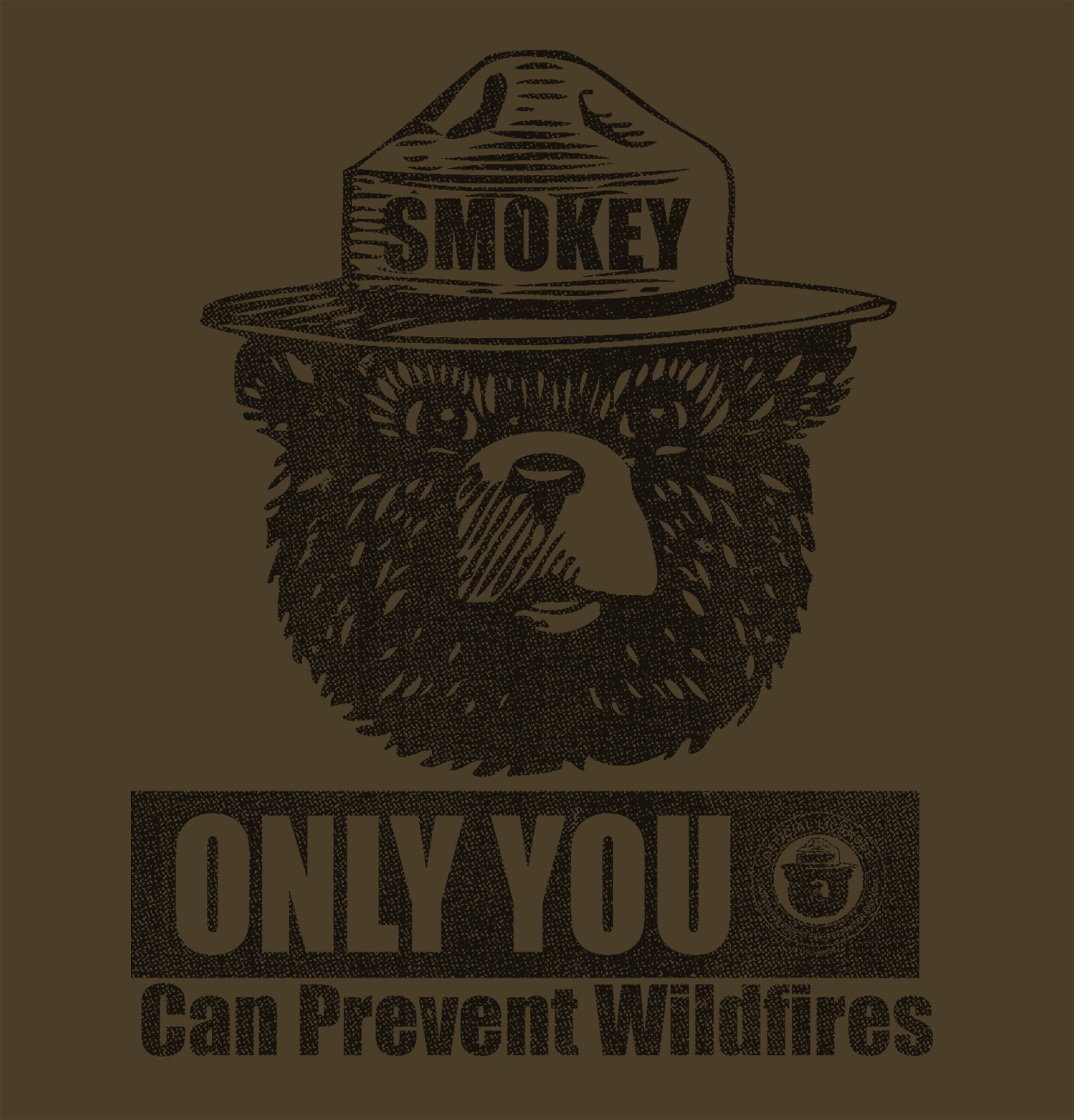 Smokey Bear Only You Can Prevent Wildfires Vintage Graphic T-Shirt - Brown